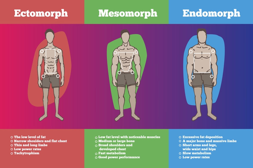 endomorph jeans